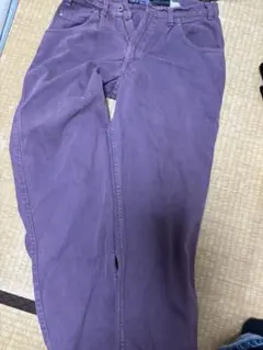 シルバータブバギー　パープル　90s