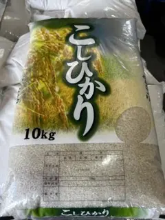 令和7年秋田県産あきたこまち10kg（5kg×2袋）真空パックで長期保存にも