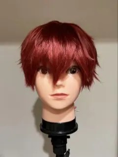 あんさんぶるスターズ 天城一彩 コスプレ ウィッグ あんスタのサムネイル