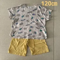 BREEZE 昆虫柄パジャマ 120サイズ　冷感素材