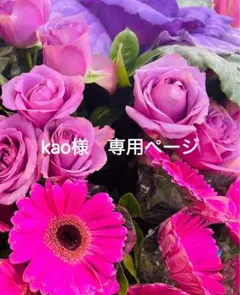 kao様　専用