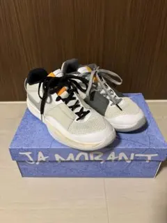 Nike Ja1 ハンガー ライトスモークグレー 27.5cm