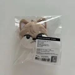 StrayKids スキズ SKZOO ギャラクシー コラボ SAMSUNG限定 - メルカリ