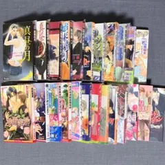 BLノベルス まとめ売り 24冊 いおかいつき/可南さらさ/他