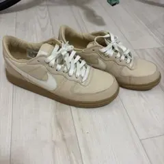 NIKE TERMINATOR LOW