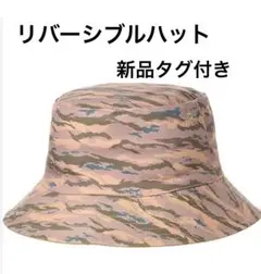 Item thumbnail for item c8e29f58-d8ac-41d8-b398-8c29c092fa2a