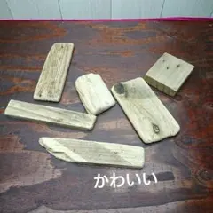 流木セットno.187