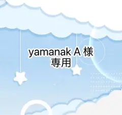 yamanak A様 専用ページ