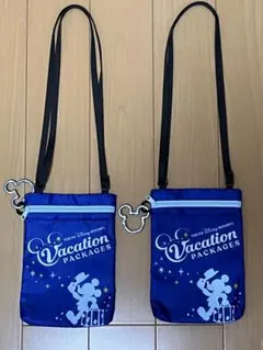 週末値下げ❗️東京ディズニーリゾート　バケーションパッケージショルダーバック