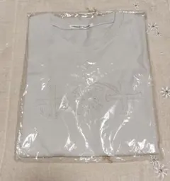 Item thumbnail for item 689934a2-d163-4e55-bb3a-bef861616414