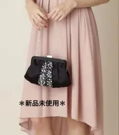 aimer エメ　パーティーバッグ