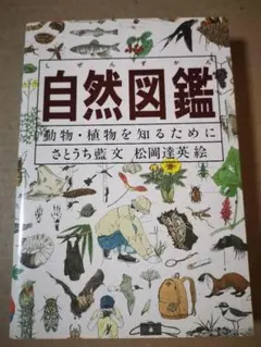 Item thumbnail for item 583fc3e1-6831-4e56-93c1-fb7c97c27327