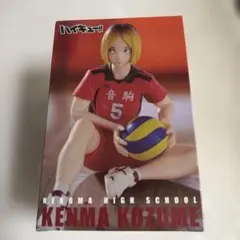 ハイキュー!! ぬーどるストッパーフィギュア —孤爪研磨—のサムネイル