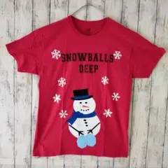 Fruit of the Loom　Tシャツ　 M　SNOWBALLS　レッド