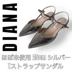 DIANA ダイアナ　25cm シルバー　Tストラップ　サンダル　パンプス　銀