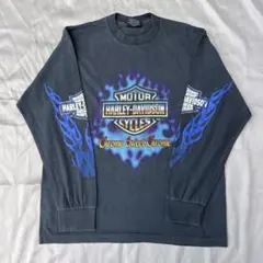 Harley-Davidson ブルーフレイム ロンT シングルステッチ 長袖L - メルカリ