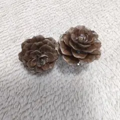 苑工房のイヤリング