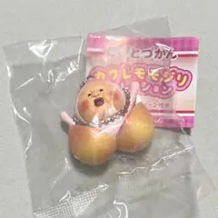 こびとづかん カクレモモジリコレクション　ぱっかん