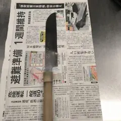 Item thumbnail for item 36da56d8-43b8-470b-94e1-92171f83055d