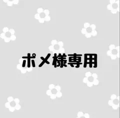 ポメ様専用(3日以内)