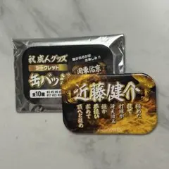 福岡ソフトバンクホークス 近藤健介 祝成人グッズ 缶バッジ