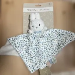 Item thumbnail for item 6fe568e0-7ea9-4ff2-948a-67b7bac03e76