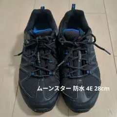 雨でも安心！ムーンスター 防水 晴雨兼用スニーカー 4E メンズ 28cm 4E