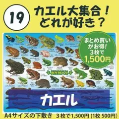 Item thumbnail for item 510c4e6b-ef33-4855-993e-fb68321f470e