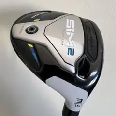 【名器】SIM2 Titanium 3W チタン