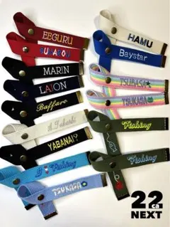 Item thumbnail for item ad3ef9dd-7ce5-4968-960e-26f67bc2762b