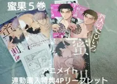 Item thumbnail for item 176a5cbf-0cac-4d69-b62b-34092edb7d81