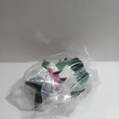 ポケモンキッズ　マスカーニャ⑭◯