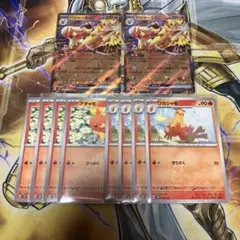 포켓몬 カード アチャモ ワカシャモ バシャーモex 10枚 スタートデッキ