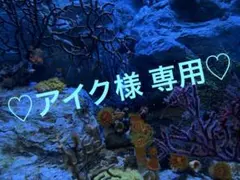 アイク様 専用。