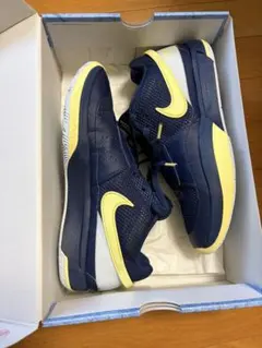 NIKE ja1 ナイキ ジャ1 バッシュ バスケ シューズ