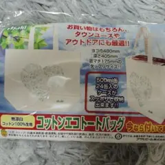 Item thumbnail for item 6e037cc3-1e52-4d69-9cac-e7598d147a90