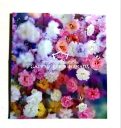 Item thumbnail for item a5f680ce-2370-47cc-a6b1-d2ad9b7186d1