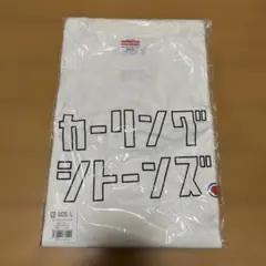 Item thumbnail for item 479cbfa5-9b66-434a-a8c0-eb609ed68f4b