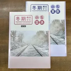 ちゃま✩°。⋆⸜(*˙꒳˙*  )⸝様 リクエスト 3点 まとめ商品