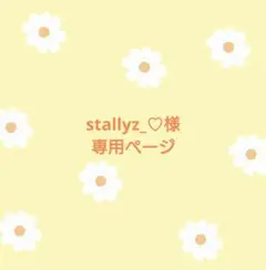 stallyz_♡様専用ページ