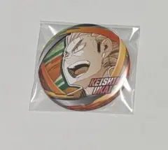 ハイキュー　缶バッジ　烏養繋心