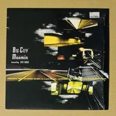 BIG CITY MOOMIN DEV LARGE レコード