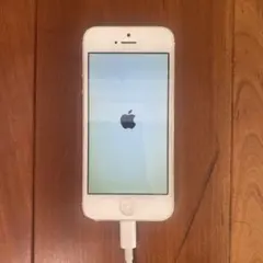 Apple iPhone5 ジャンク品