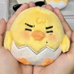 ENHYPEN ニキ ぬいぐるみ 10cm マスター 人形 일본뺙 - メルカリ