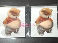超かわいい！柴犬おなかもちぷにステッカー2枚セット