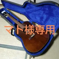 GUILD　D-25M (1979年製　L.R.Baggs付き)のサムネイル