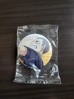 ハイキュー!!　ゴミ捨て場の決戦　ガチャ　缶バッジ　田中龍之介