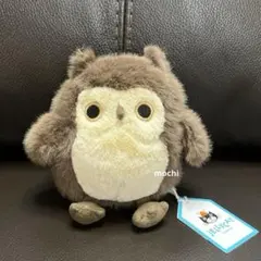 新品 ジェリーキャット フクロウ Heccaty Hootnightly - メルカリ
