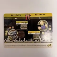 ポケモンバトルカードe+ FR&LG A014 エリートカップルのヨウ&ユリ