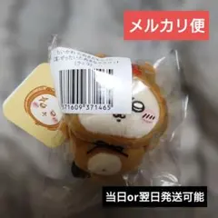 ちいかわ　たぬきだもんくじ　C賞　ラッコ　ぬいぐるみマスコット